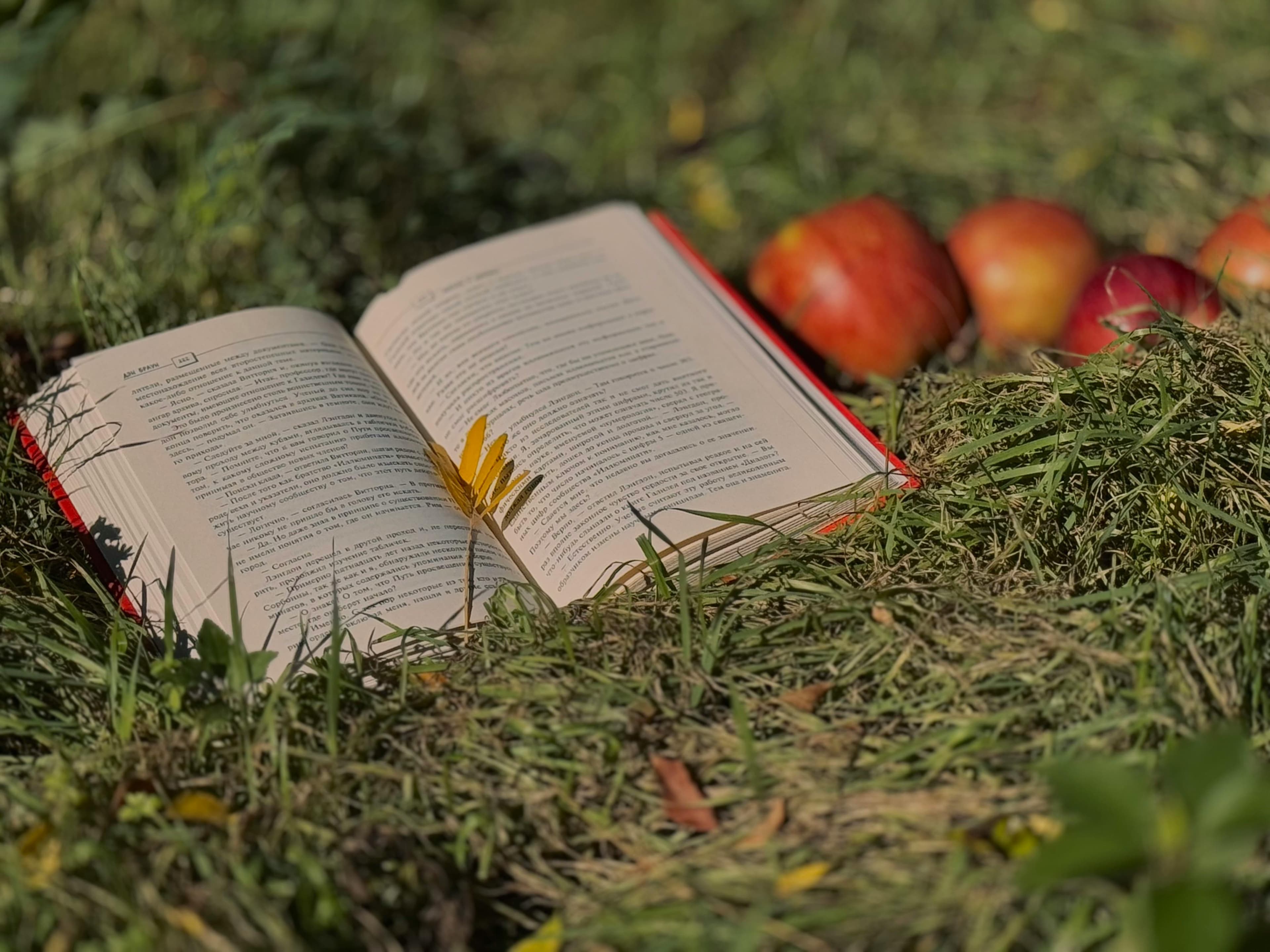 Free An open book lies on grass surrounded by apples, symbolizing autumn and relaxation. Stock Photo