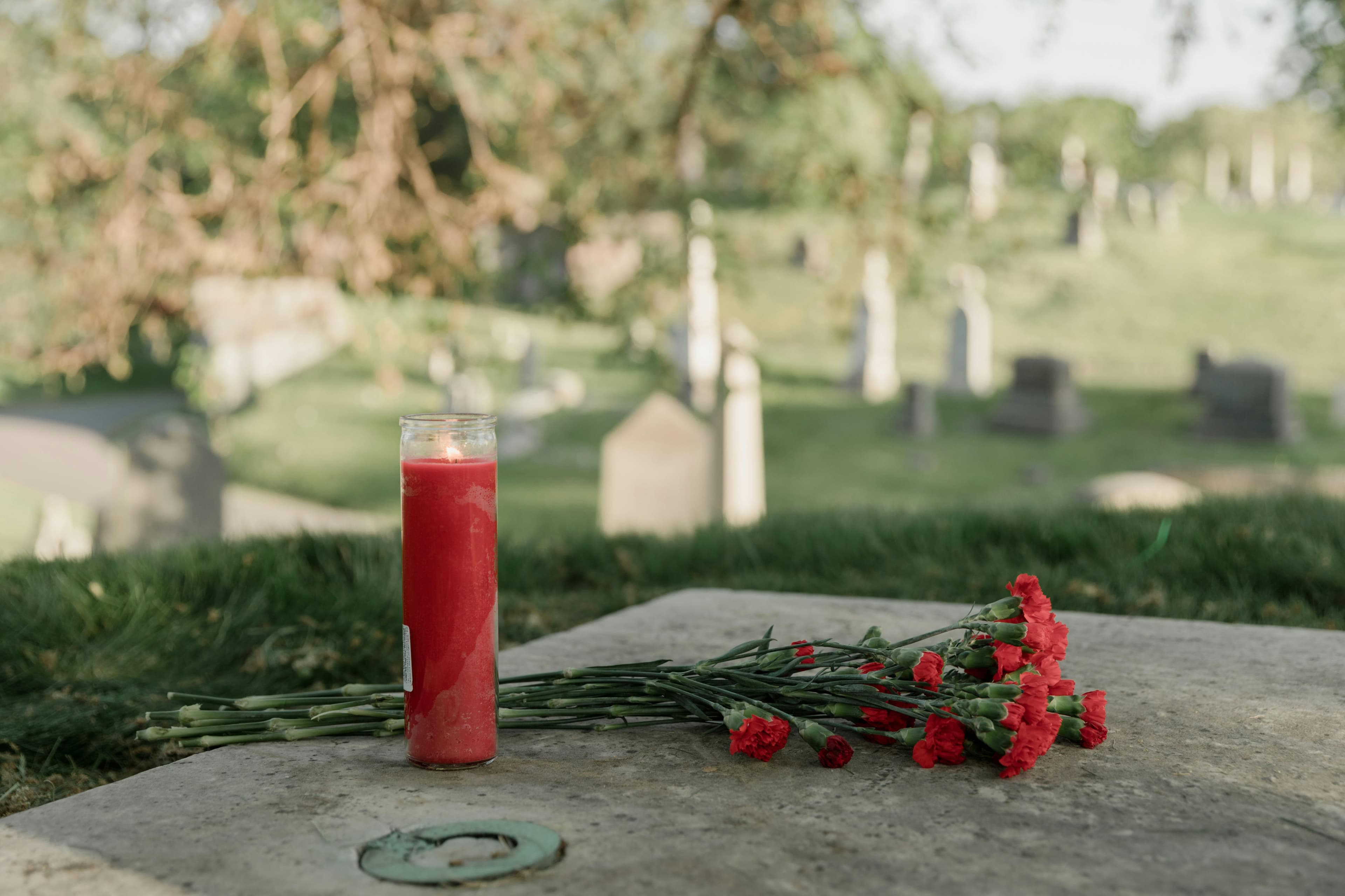 Free A serene cemetery scene with a red candle and carnations honoring a memory. Stock Photo